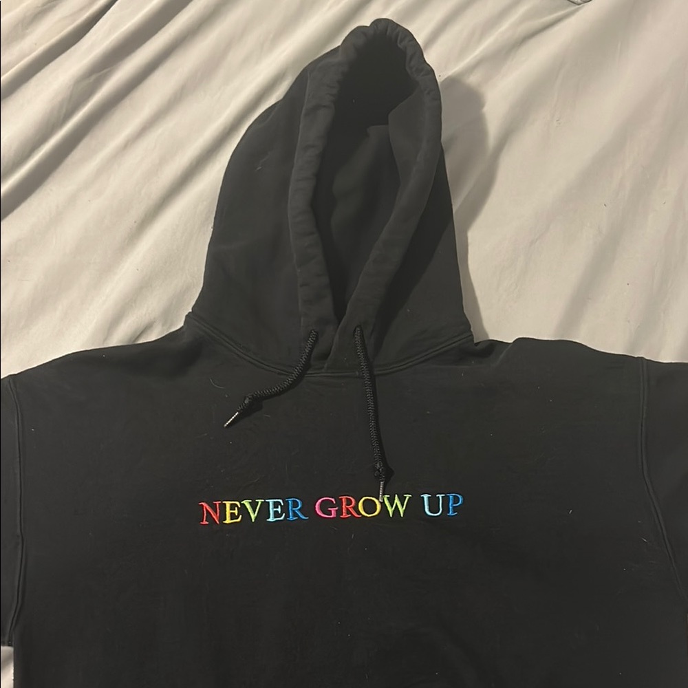 Baylen Levine ASTROWORLD 'Never Grow Up' Hoodie M